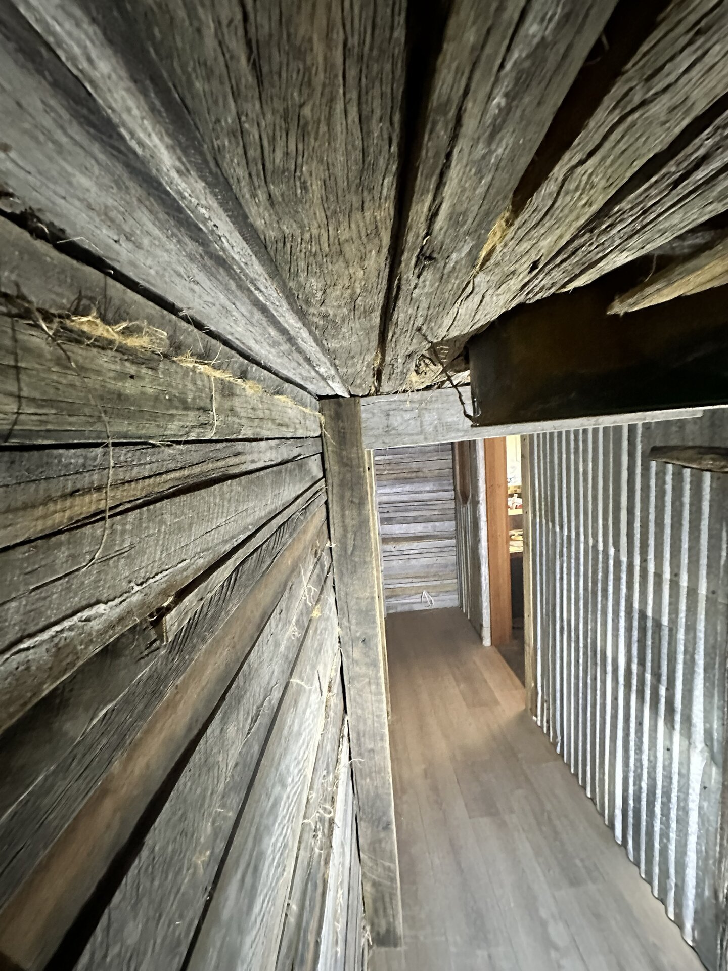 Build in progress — driveway-bank roots set into the cellar walls